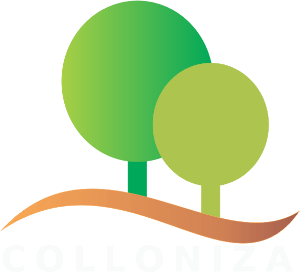 Na América Central, Árvores "andantes" Se Deslocam - Sivicultura Png (596x560)