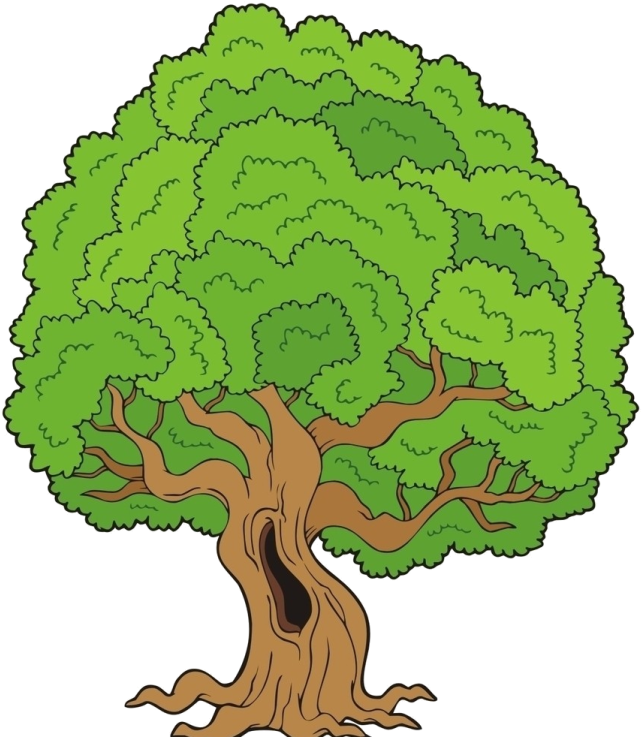 Gifs De Árvores, Imagens De Árvores Png Fundo Transparente - Tree Clip Art Big (657x750)