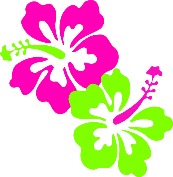 170 Best Hawaiian Hibiscus Images On Mzayat - Neon Green And Pink (582x597)