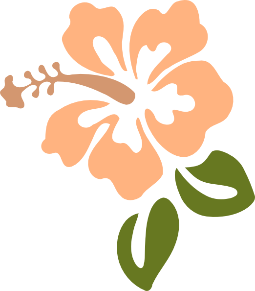 This Free Clip Arts Design Of Hibiscus Png - Hibiscus Clip Art (522x594)