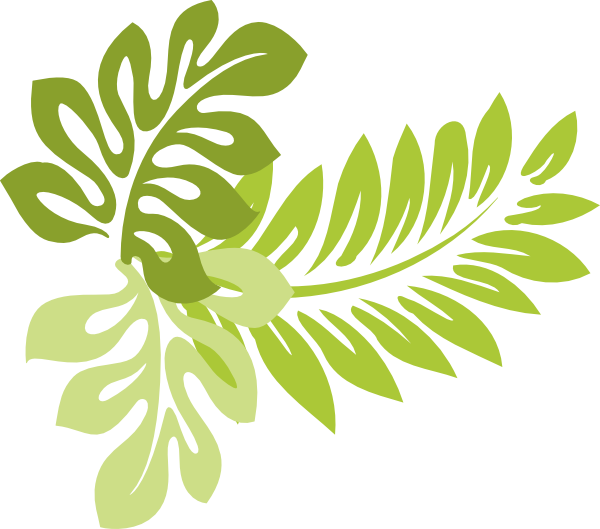 Inspiring Design Leaves Clipart Hibiscus Clip Art At - Tropical Leaf Clip Art (600x529)