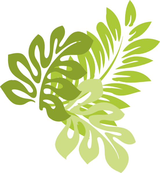 Jungle Leaf Clip Art (552x594)