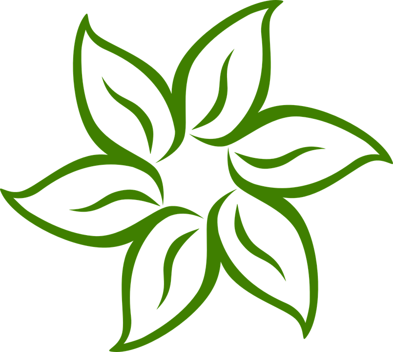 Hibiscus Cliparts 18, Buy Clip Art - Flower Clip Art Black And White (805x720)