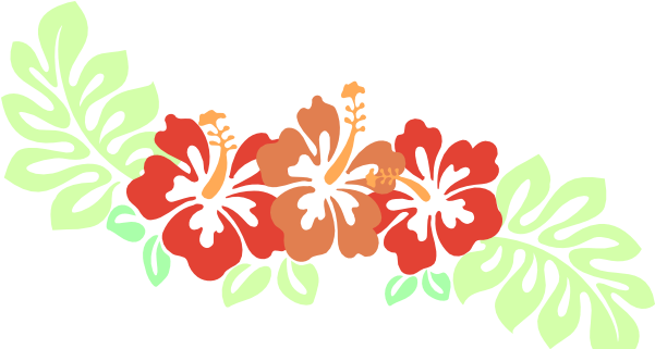 How To Set Use Hibiscus Svg Vector - Hibiscus Png (600x339)