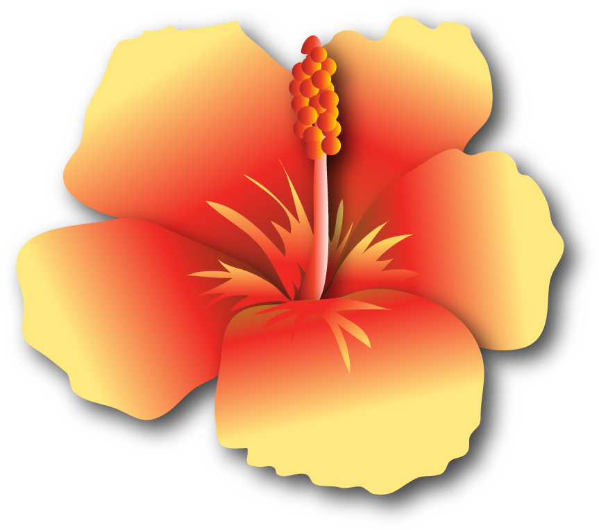 Hibiscus-yr $500 - - Hawaiian Hibiscus (877x779)