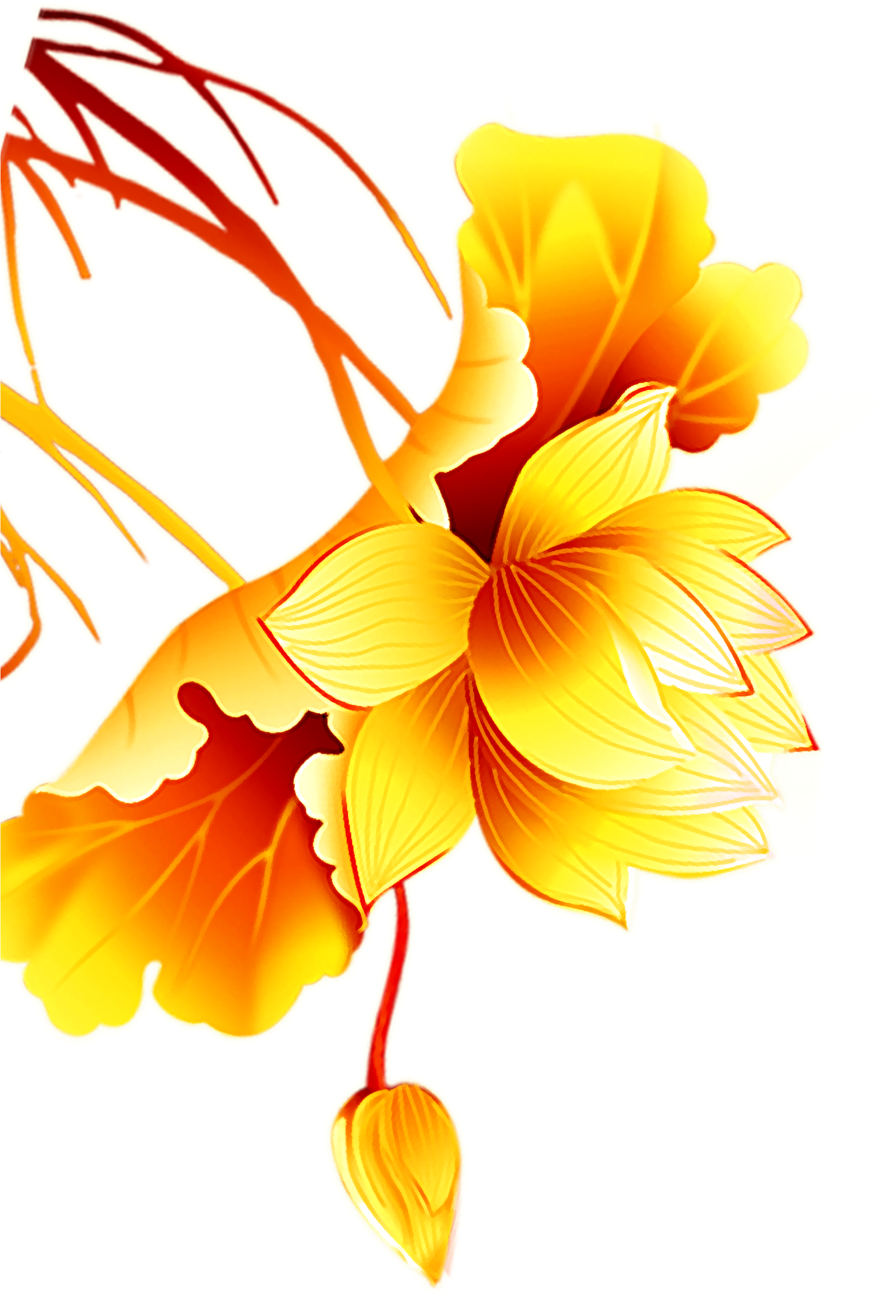 Tangyuan Yellow Flower Gold - Tangyuan Yellow Flower Gold (1996x2677)