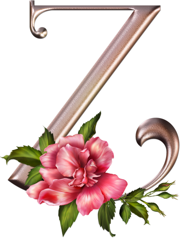 Alfabeto Rosas Lindo Abc Letras Cor De Rosa Com Flores - Letra Z Con Flores (587x775)