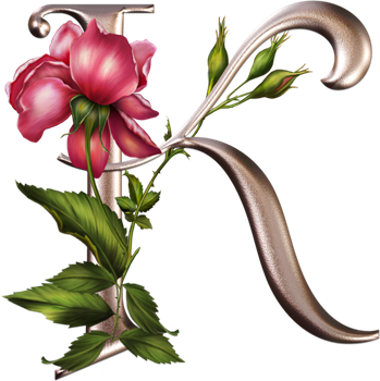 Entradas Sobre Alfabeto Plateado Con Flores Rosas En - K Letters Images Beautiful (349x350)