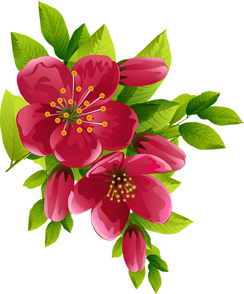 Blog De L'ile De Kahlan - Flowers With Transparent Background (500x601)