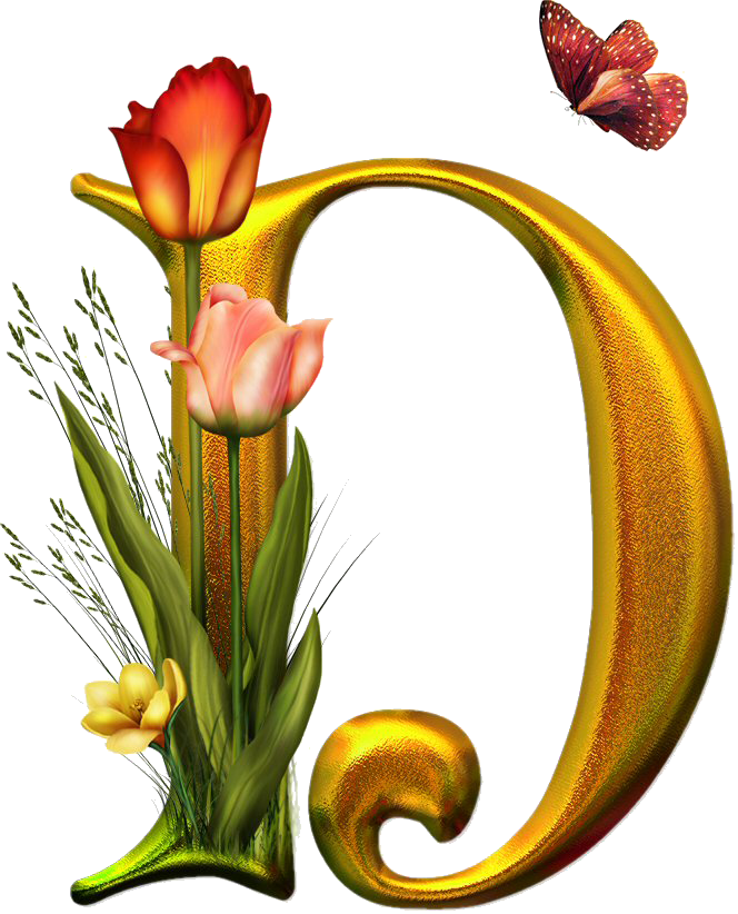 Bello Alfabeto Con Flores Y Mariposas - Letras Decoradas Con Flores Y Mariposas (664x822)