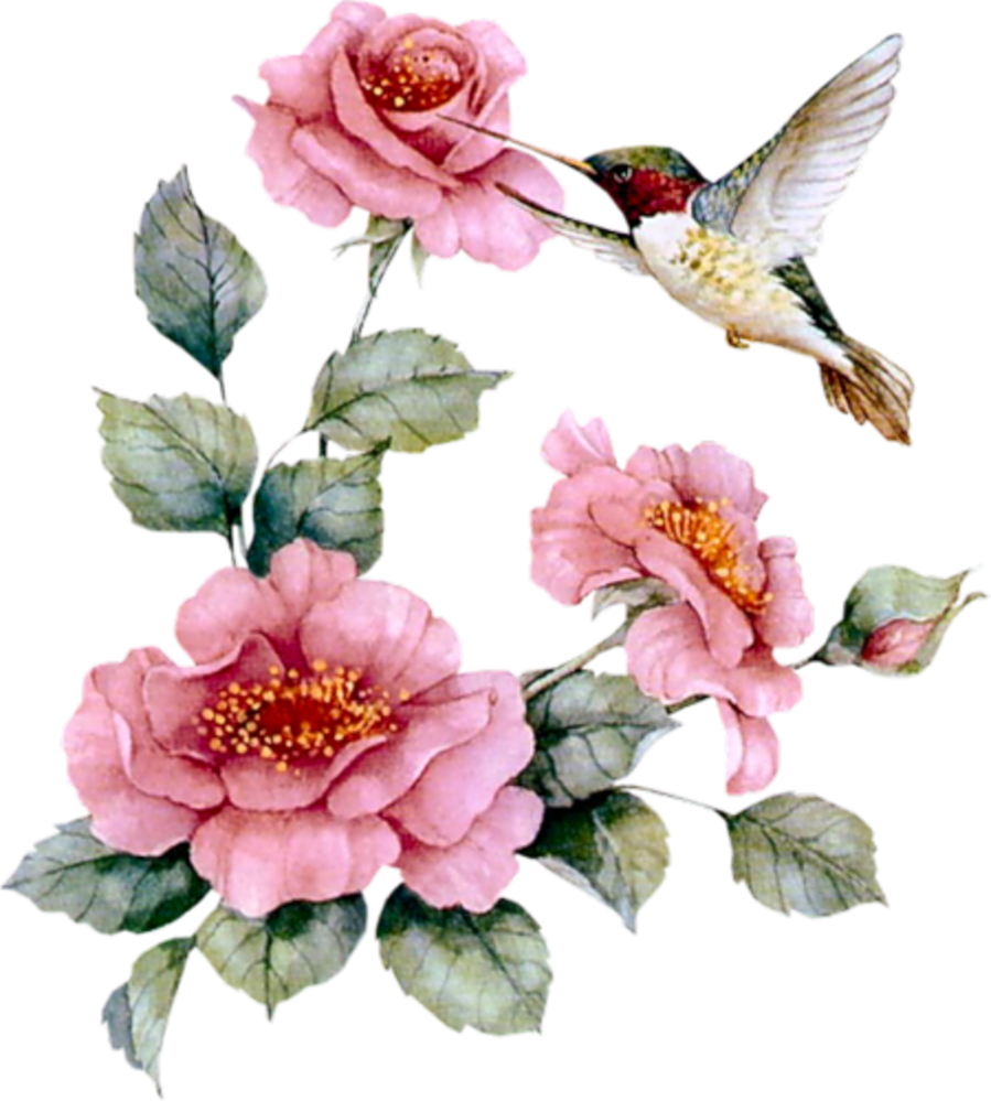 Aprender Manualidades Es Facilisimo - Hummingbird With Pink Roses Necklace ,bird Gifts (899x999)
