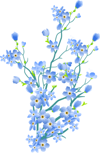 Http - //img-fotki - Yandex - Ru/get/6816/ - Alpine Forget-me-not (329x500)