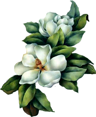 Resultado De Imagen Para Magnolias Flores - Address Book: Vintage Clock &amp; Flowers (324x412)