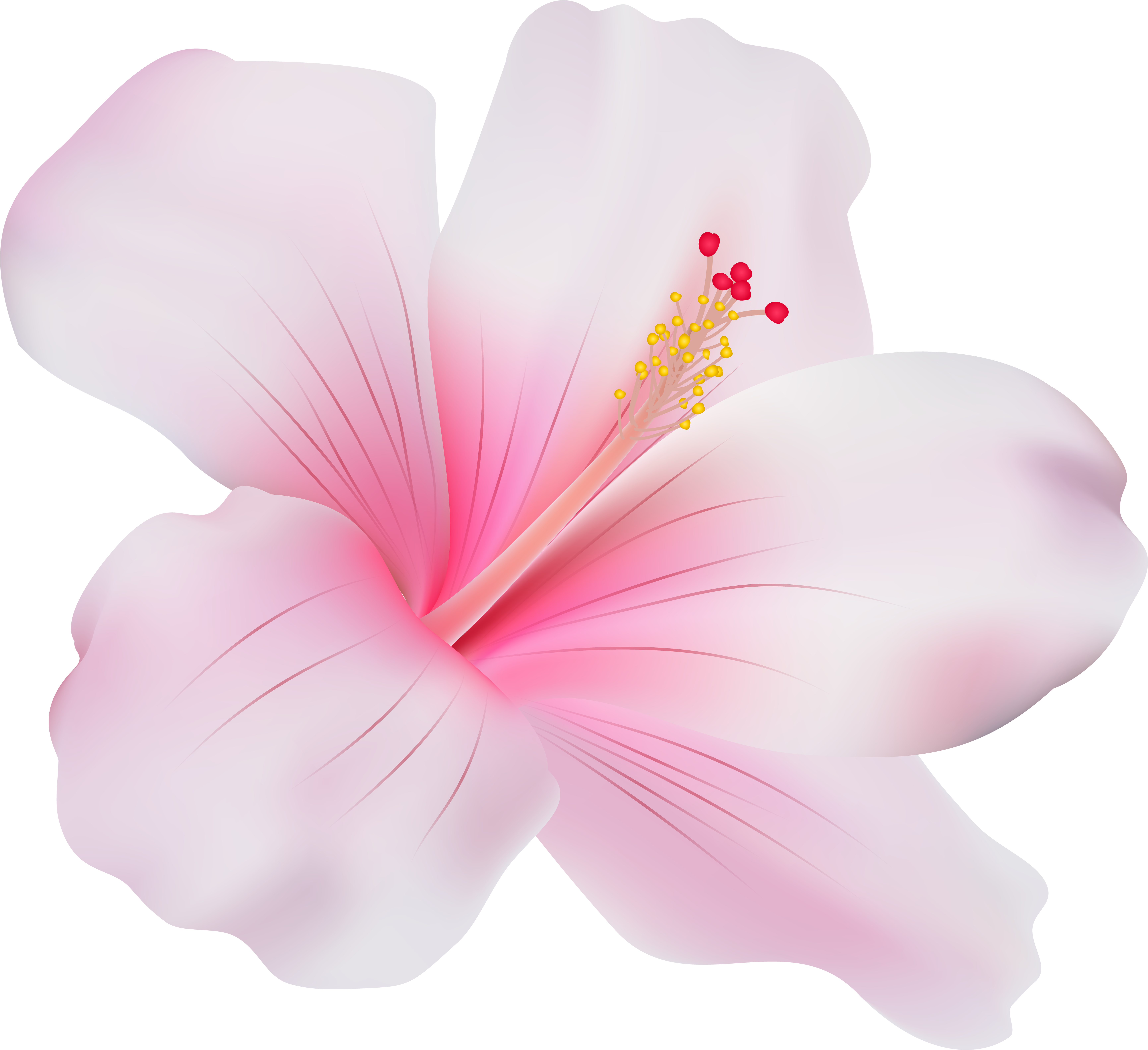 Pink Hibiscus Png Clip Art - Pink Hibiscus Flower Png (7000x6404)