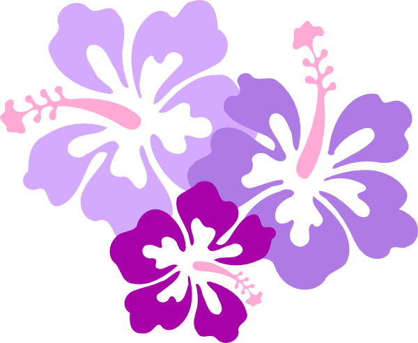 Purple Hibiscus Flower Clipart - Hibiscus Clip Art (600x493)