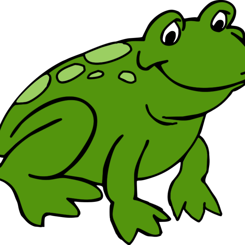 Frog Clipart Cute Frog Clipart Clipartix Free Clipart - Frosch Bild (1024x1024)