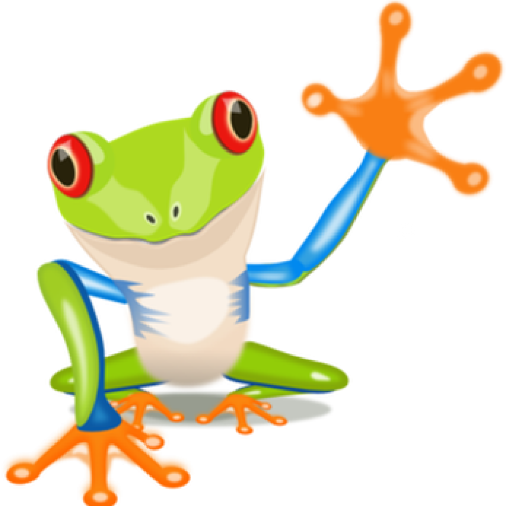 Tree Frog Clipart Estupendoespanol Clipart Download - Tree Frog Clipart (1024x1024)