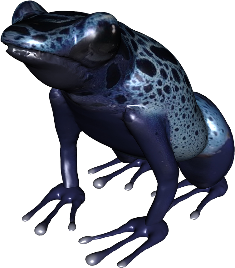 Underside Of Frog Png, Blue Frog Png - Toad (945x945)