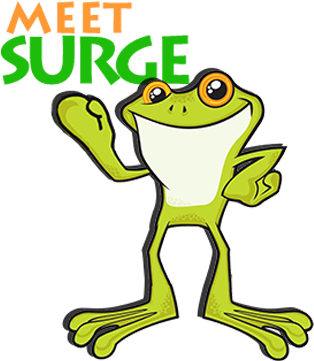 Big Frog Electric - True Frog (330x402)