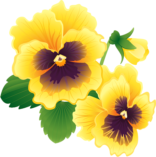 Анютины Глазки - Flower Banner (499x500)