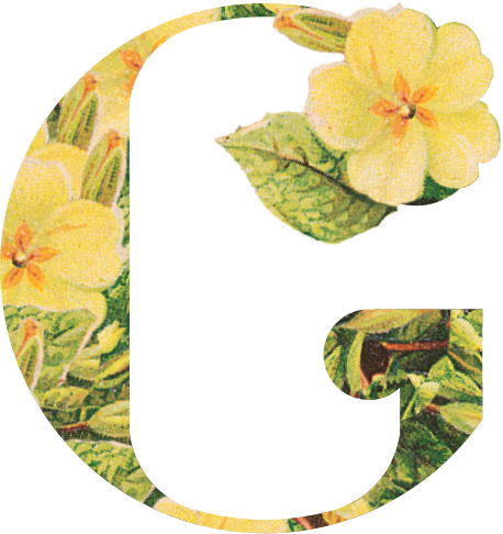 How Did You Find Out About Us - Alt Attribute (458x486)