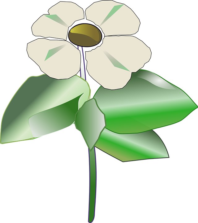 Colorful Pinwheel Cliparts 17, - Pacific Dogwood Clipart (640x720)