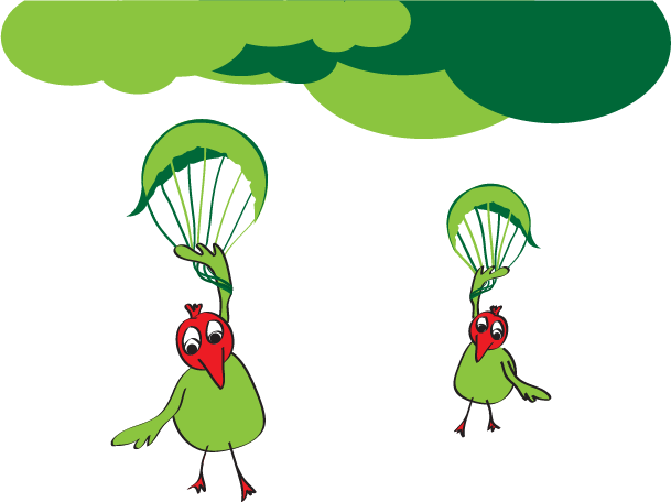 Bird Cartoon Illustration - Illustration (609x456)