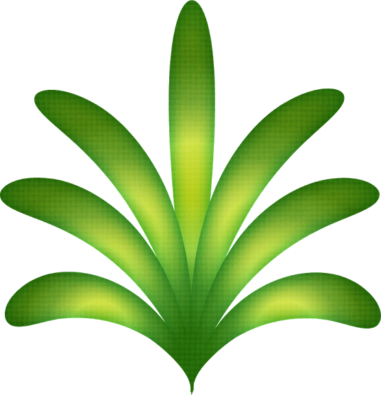 Luau Havaianas - Minus - Craft (556x576)