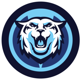 Chorus - Vu Hoops Logo (400x320)