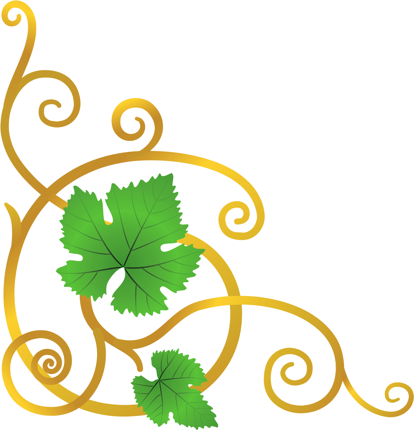 Vine Clipart Transparent - Transparent Cliparts Vine (1880x1974)