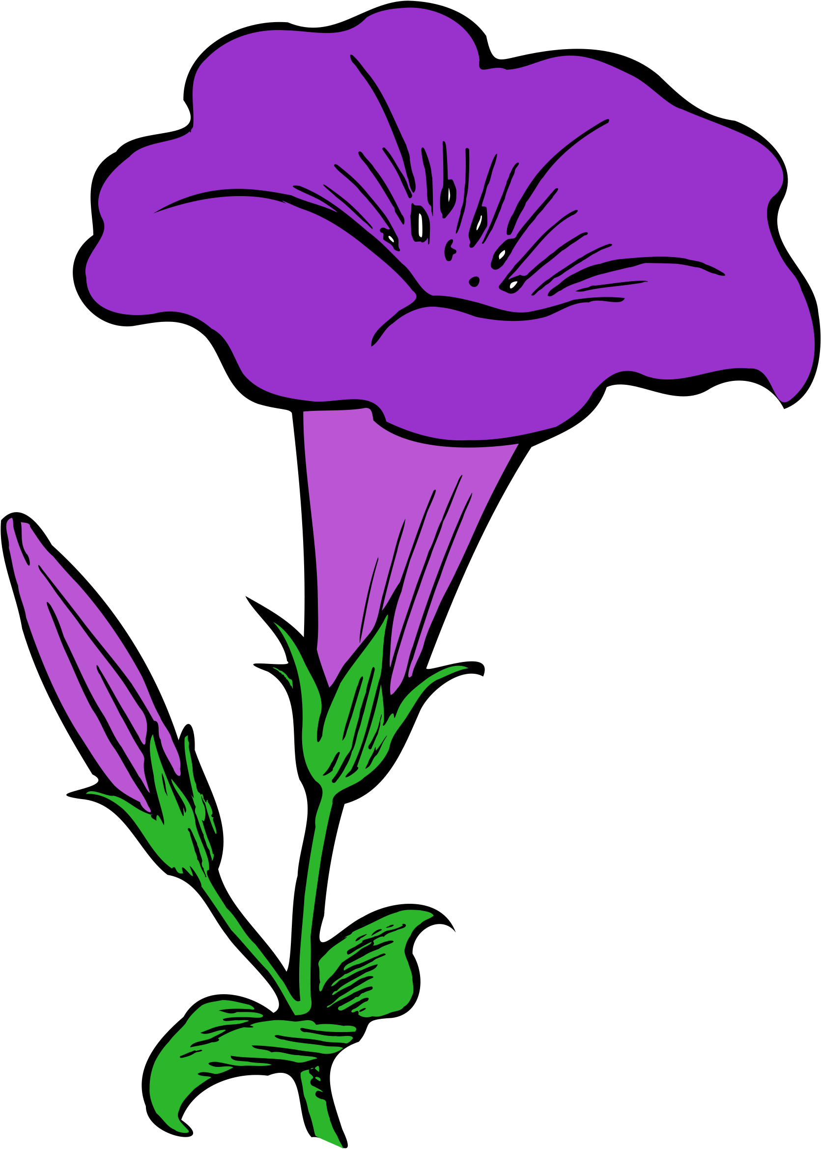 Purple Flowers Clipart 26, - Gamopetalous Flowers (2000x2776)