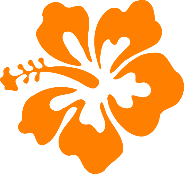 Hibiscus Svg Clip Arts 600 X 566 Px - Orange Hibiscus Flower Clip Art (600x566)