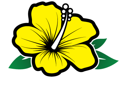 Yellow Hibiscus With Leaves - Hawaiian Hibiscus (396x323)