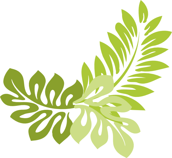 Cool Ideas Rainforest Border Clip Art Jungle Corner - Hibiscus Clip Art (600x551)
