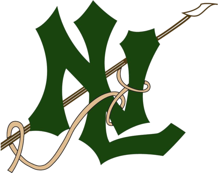 N - New London High School Logo (720x556)