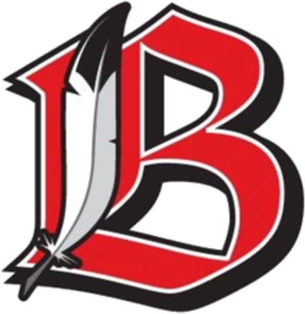 Brimfield - Brimfield High School Logo (720x720)