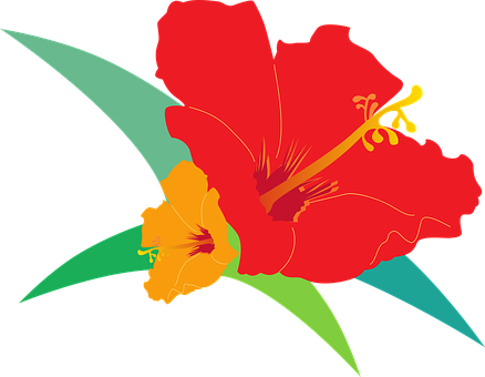 Hibiscus, Bird's Flowers, Red, Orange - Vector Graphics (438x340)