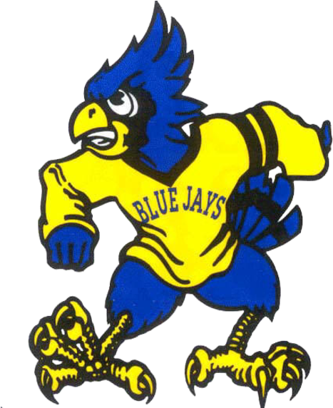 D - Delphos St John's Blue Jays (480x571)