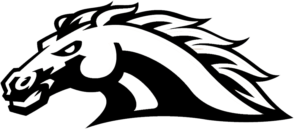 Dansville Boys' Basketball Earns A Spot In The Detroit - Western Michigan Broncos Hockey Logo (990x436)