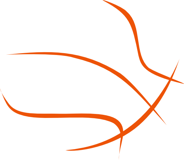Basketball Outline Clip Art - Outline Of The Basketball (600x521)