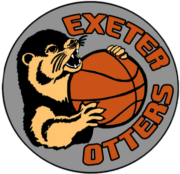 Devon Otters Wheelchair Basketball (389x347)