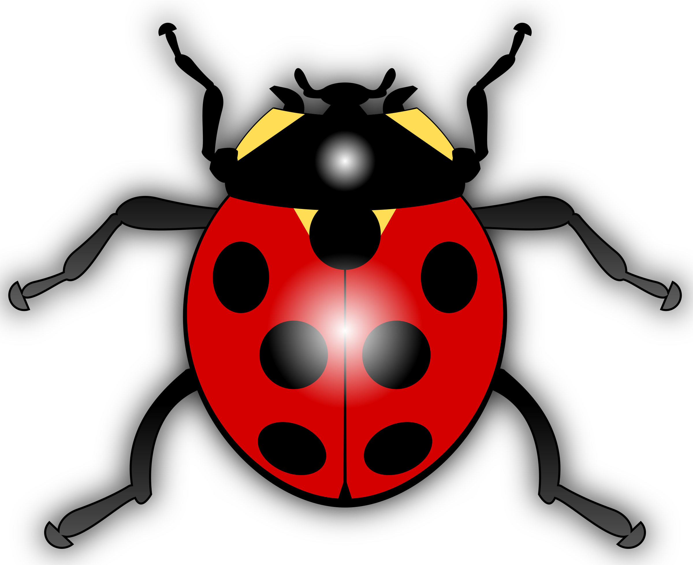 Cartoon Ladybug Clip Art Png Png Mart - Ladybird Clipart (2400x1955)