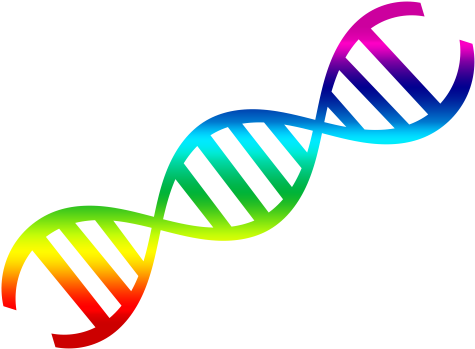 Dna Png - Dna Double Helix Clipart (1491x1099)