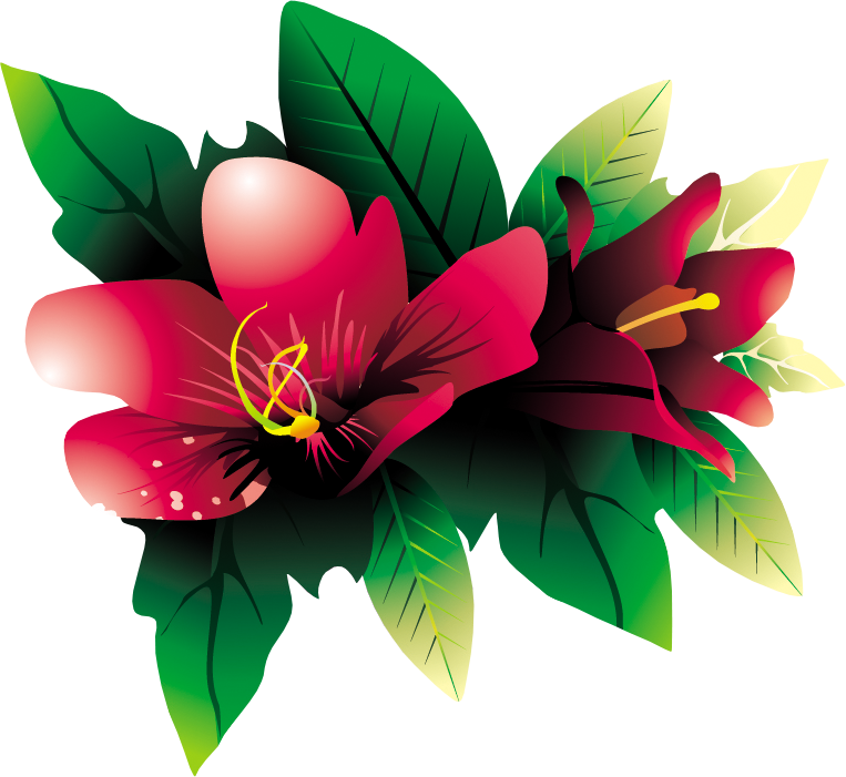 Tropical Flower Hq Png By Briellefantasy - Beautiful Flower Images Download (763x701)