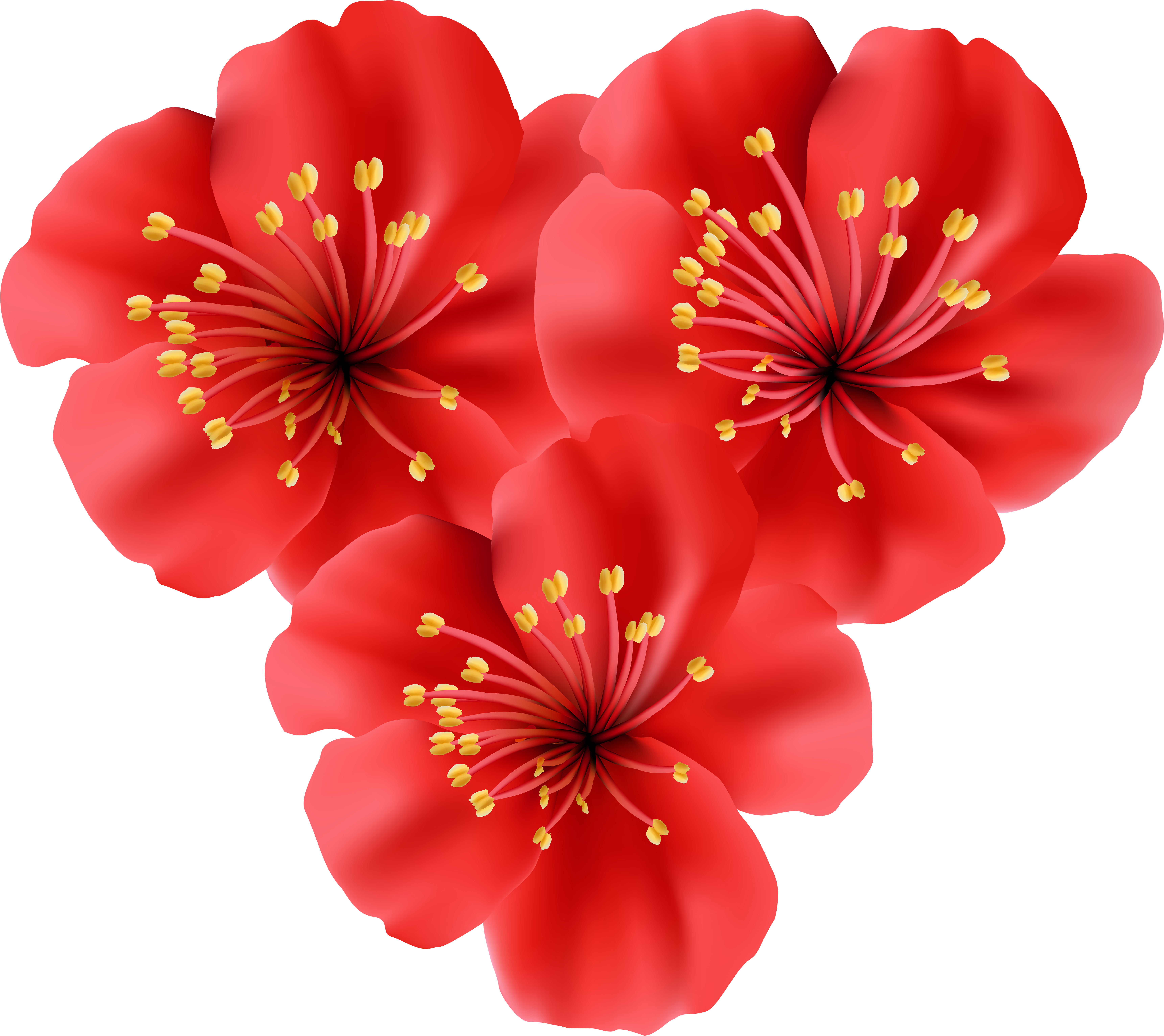 Polynesia Clipart Tropical Flower - Tropical Flowers Transparent Background (7000x6230)