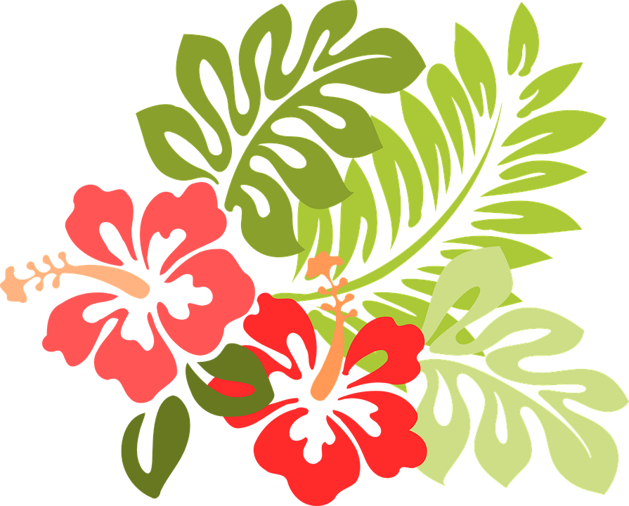 Tropical Floral Cliparts - Hawaiian Flower Clipart (895x720)