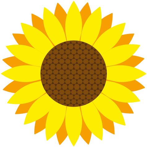 Sunflower Head Vector Transparent Png - Sunflower Growing Competition (512x512)