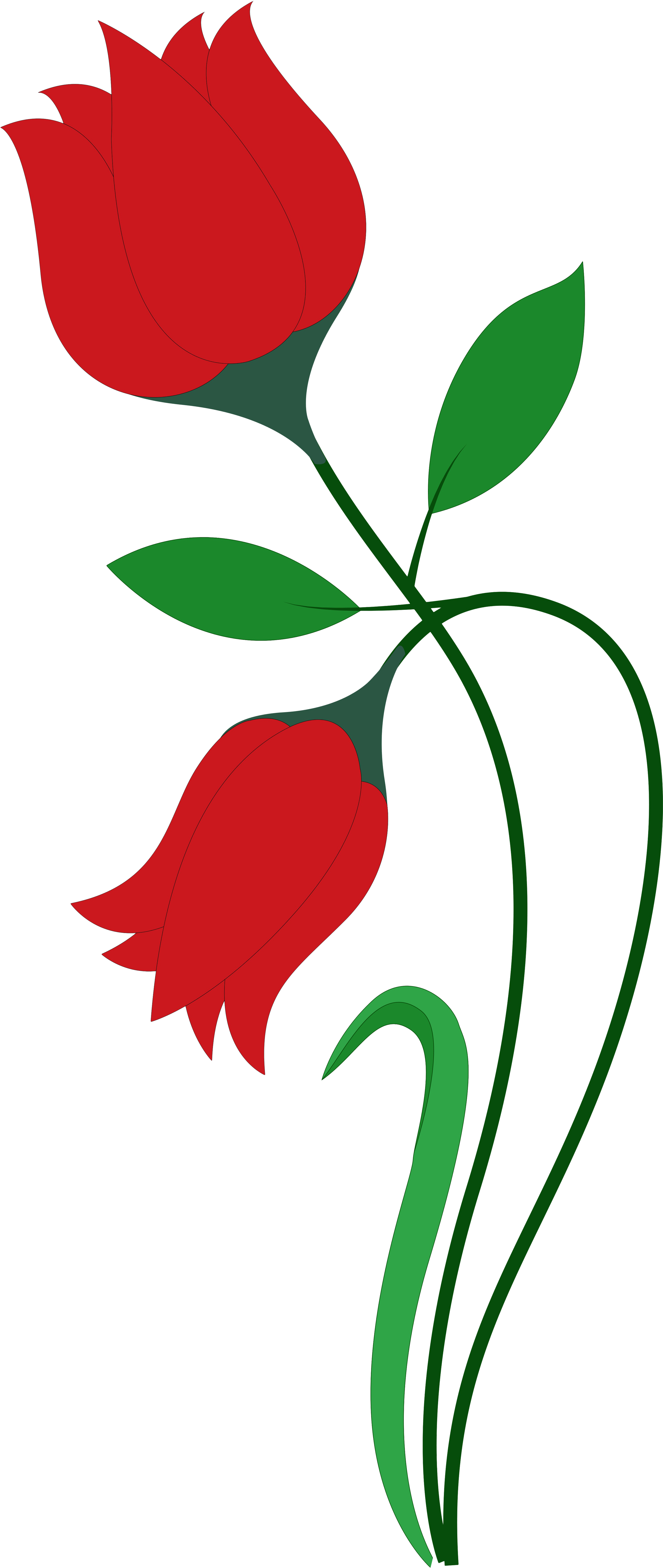 Rose Flower Vector Png Transparent Image - Flower Png (3400x5598)