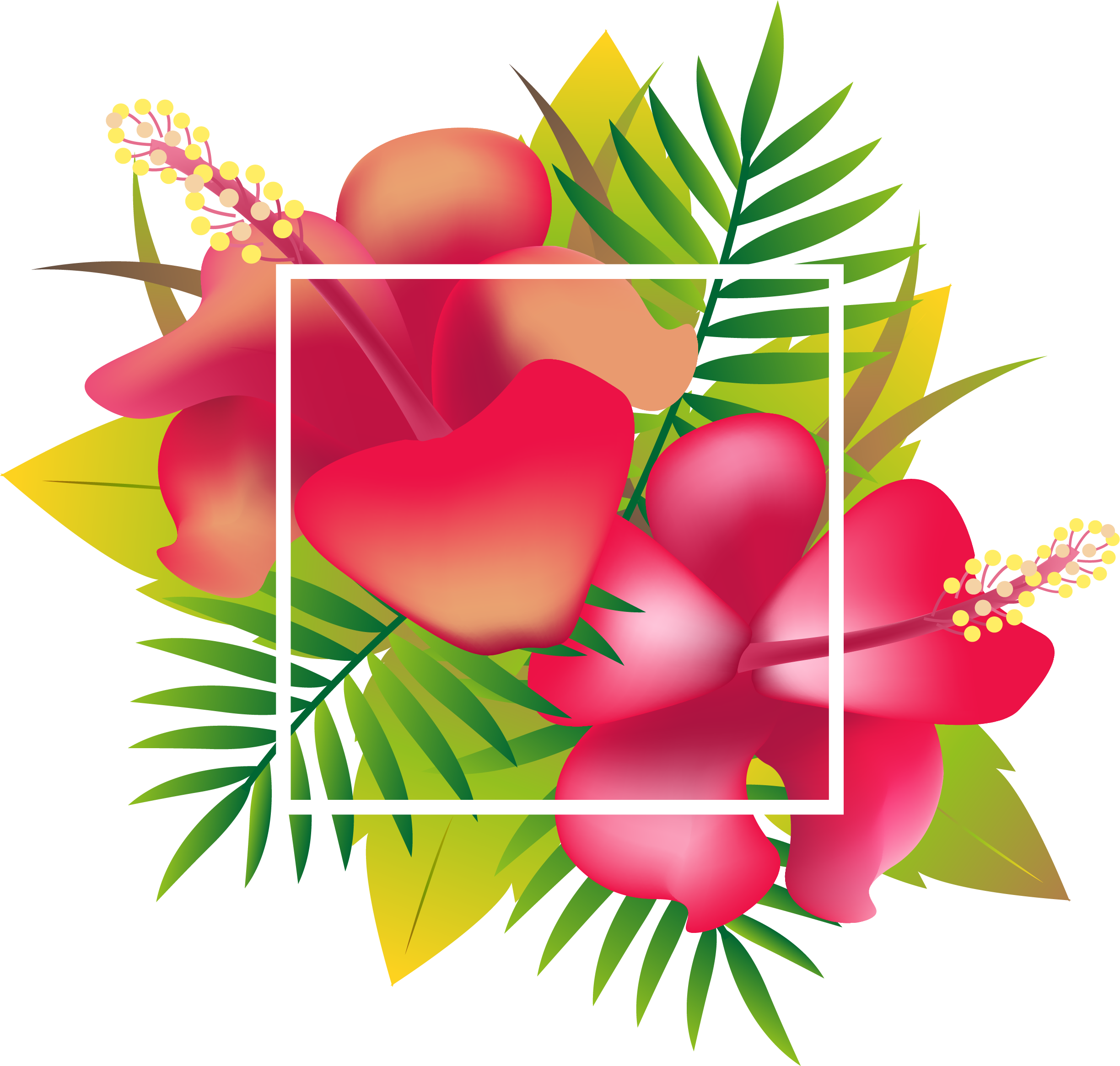 Header Floral Design Tropics - Flower (2448x2331)