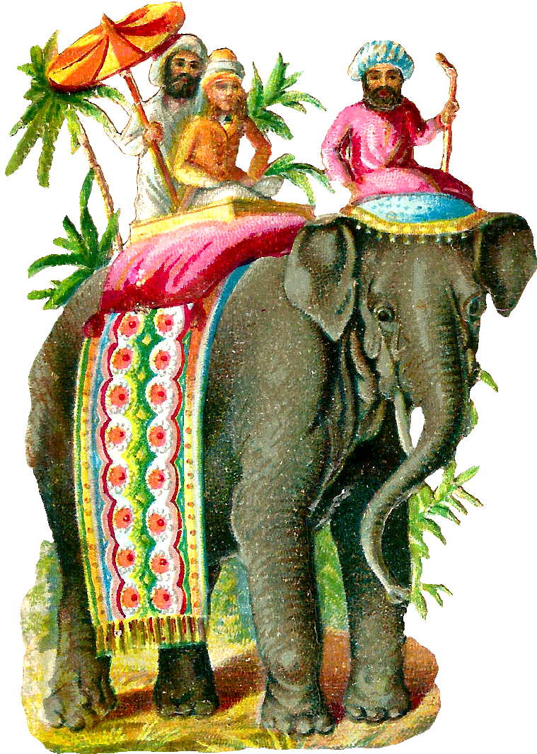Vintage Elephant Clip Art - Vintage Elephant Illustration (852x1171)